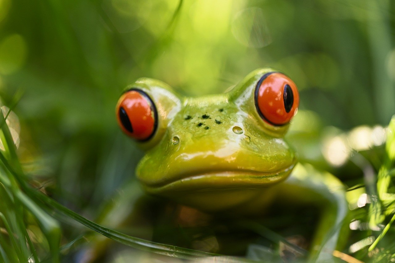 frog, figure, cute, meadow, green, nature, ceramic