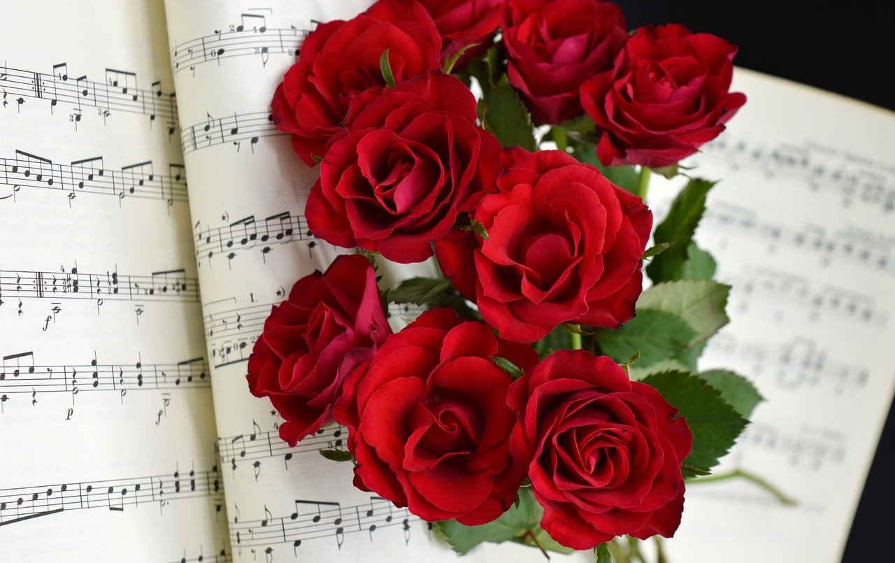 roses, red roses, grades, love song, love, sheet music, blossoms, flower, teacher gradebook, make music, concert, songs, wedding song, to sing, choir, sounds, music, love for music, notenblatt, birthday song, date of birth, birthday greeting, valentine's day, hd background, melody