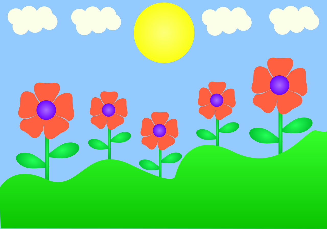 nature, spring, sunset, flowers, darling, design, floral, to flourish