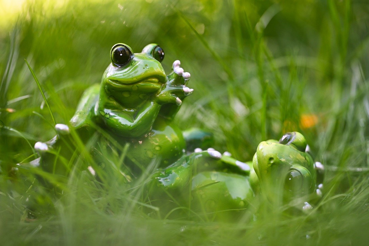 frogs, mom and child, cute, nature, fun, figure, pose, toads, green