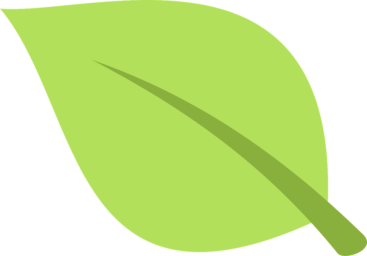 vert, feuille, belles fleurs, plantes, nature, le printemps, botanique, feuillage, feuilles, naturel, floral, direction générale de la, fond d'écran fleur, élément, écologie, biologique, fleur, verdure, arbre, environnement, à base de plantes, frais, saison, flower background, spa, recycler, automne, flore