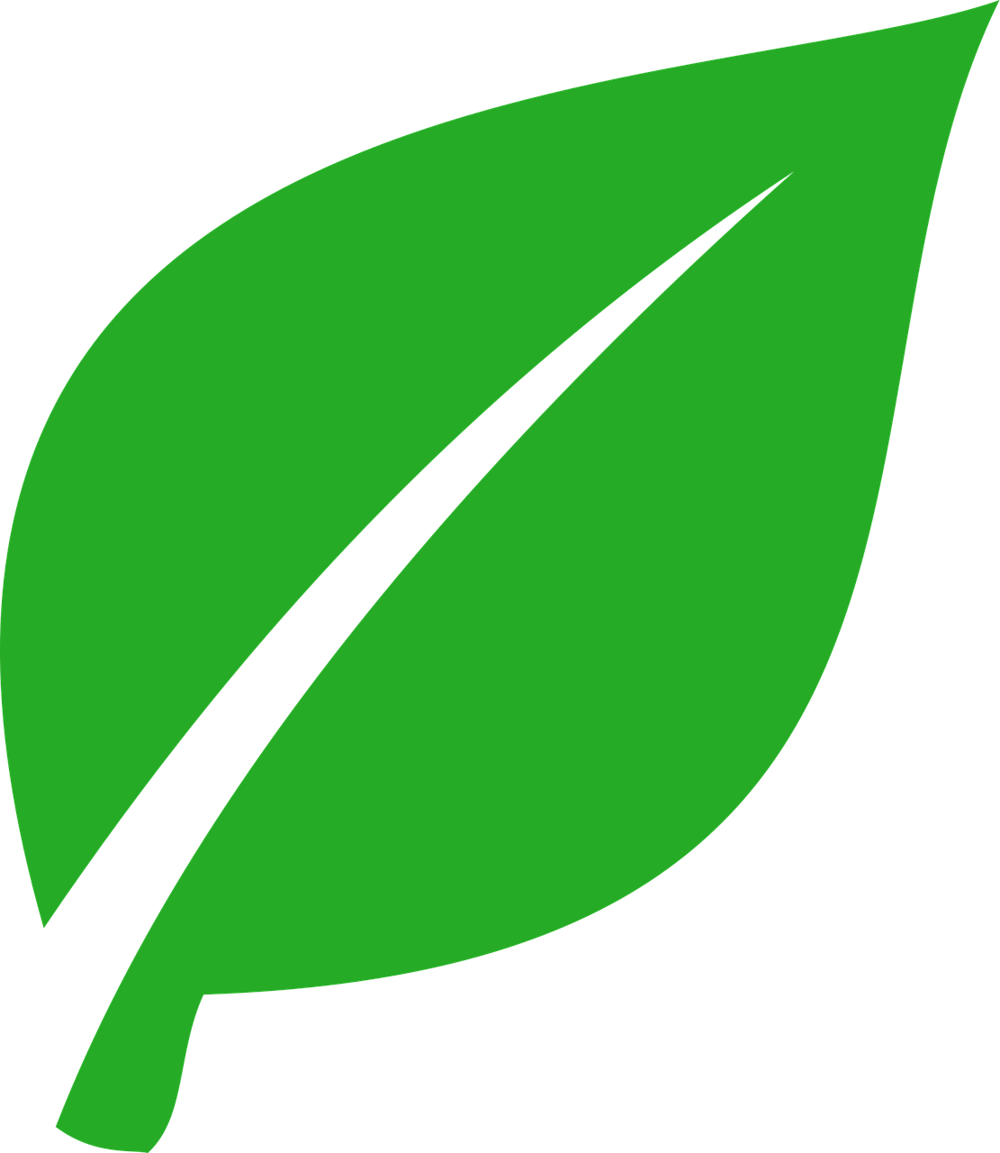 verde, frunze, plantelor, natura, primăvară, botanic, frunziş, natural, floral, filiala, element, ecologie, tapet cu flori, flori fundal, organic, floare, verdeaţă, copac, mediu inconjurator, pe bază de plante, flori frumoase, proaspăt, sezon, spa, recicla, toamnă, floră