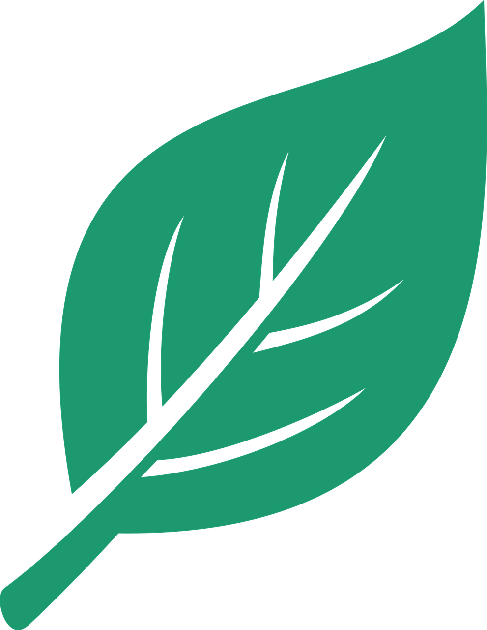 vert, feuille, plantes, nature, le printemps, botanique, feuillage, feuilles, naturel, floral, direction générale de la, élément, écologie, biologique, fleur, verdure, flower background, arbre, environnement, fond d'écran fleur, belles fleurs, à base de plantes, frais, saison, spa, recycler, automne, flore