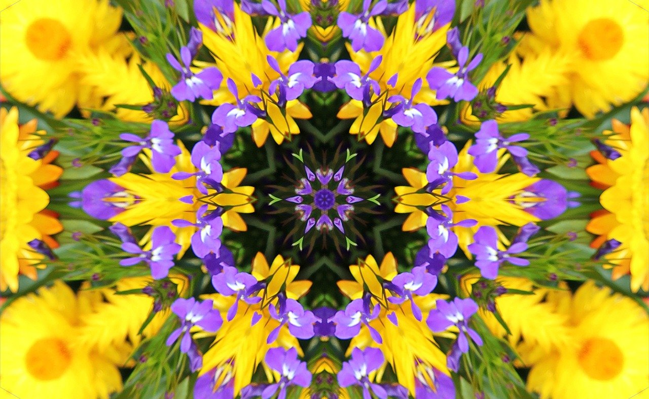 flowers, nature, bloom, blossom, plant, petals, spring, summer, flora, kaleidoscope, pattern, geometric, colorful, design, fractal, creative, illusion, spiral, background, template, bright