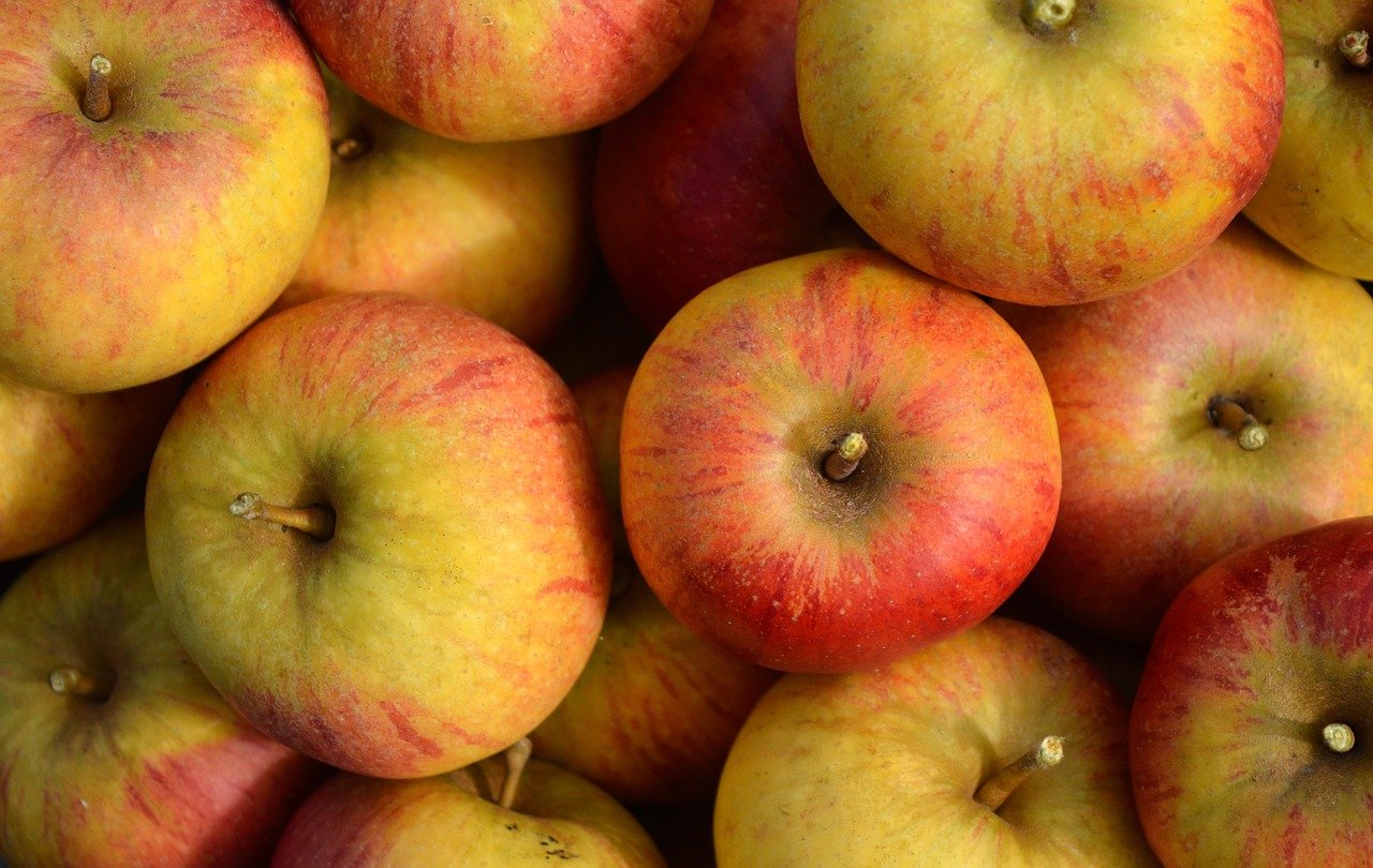 holstein cox, apples, fruit, ripe, yummy, healthy, fresh, fruit tree, close up, nature, nature wallpaper, vitamins, harvest, apple harvest, thanksgiving, pome fruit, food, nourishment