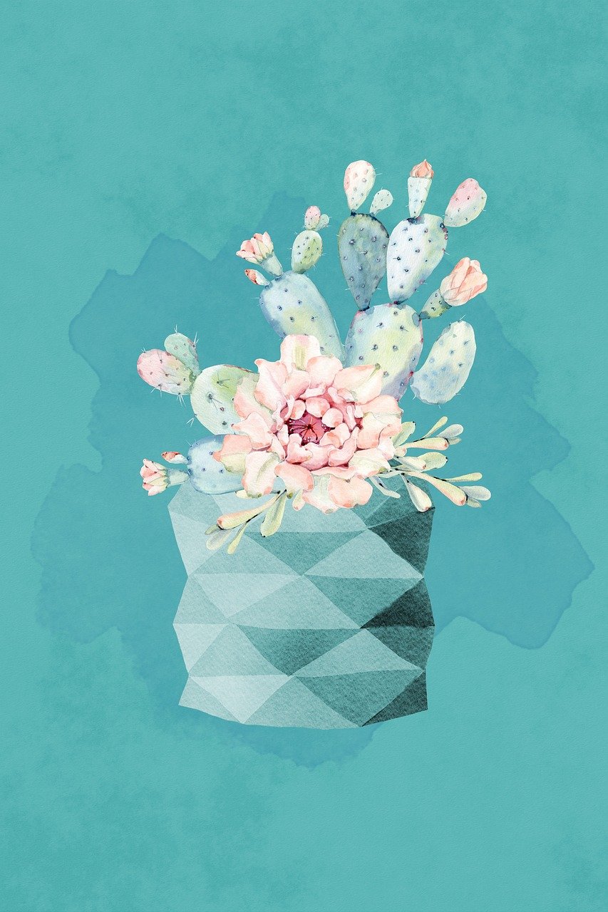 greeting card, copy space, cactus, nature, plant, flora, flower, garden, succulent, cacti, prickly, blossom, bloom, thorns, vase, pottery, pastel, watercolor, post card, texture