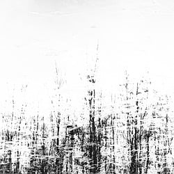 Image author: JvMvD