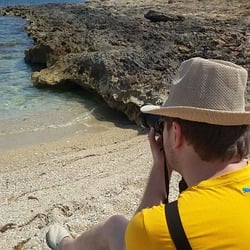 Image author: FitzFox