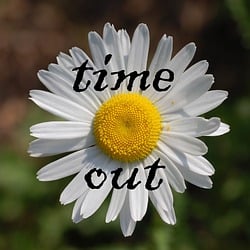 Image author: Elsemargriet