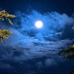 Image author: GingerMarie12