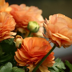 Image author: PiMeG