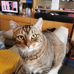 Image author: manja18081988